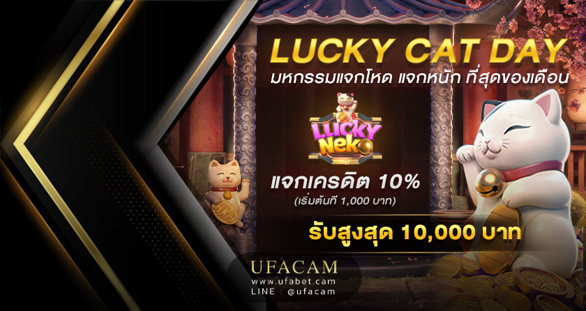 โปรโมชั่น 8.8 Lucky Cat